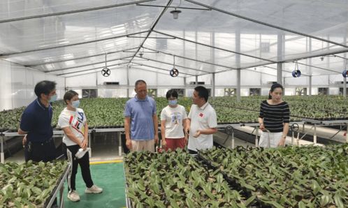惠州 惠城区切实抓好党史学习教育和农技推广服务,促推乡村产业发展